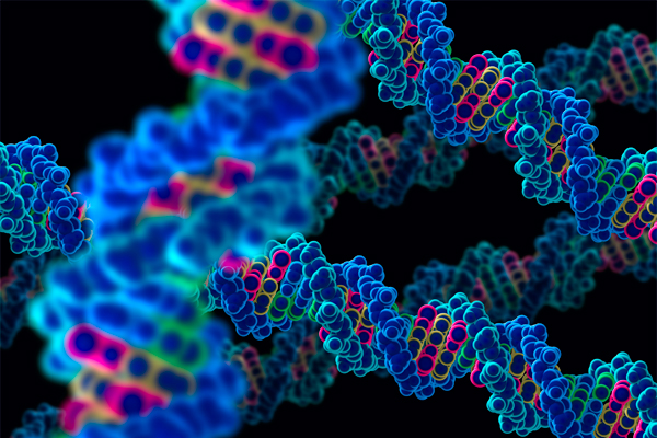 molecular-biology-introduction