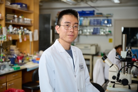 Justin Wang working at lab bench